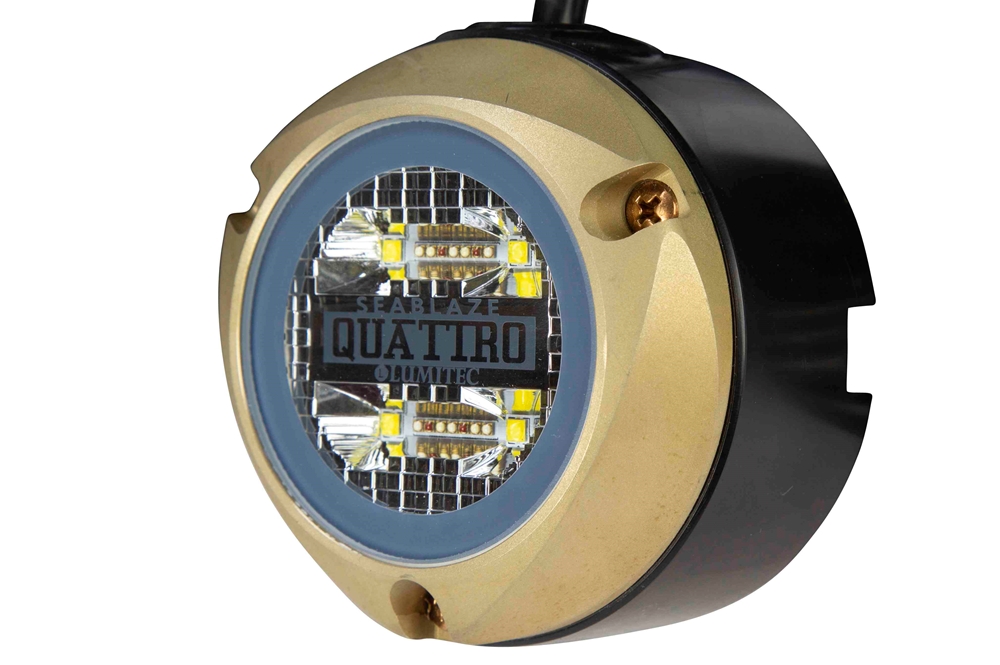 Larson Electronics - 100W Underwater Dock Light Package - (4) LED ...