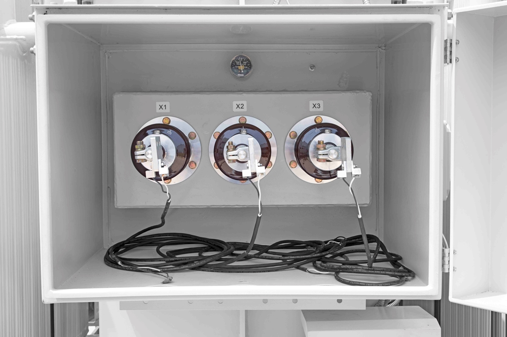 Larson Electronics - 2.5 MVA Conservator Substation - 249400V Delta ...