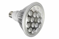 25W LED PAR 38 Spot / Flood Light - 2500 Lumens - Low Voltage - 11-25V AC/DC - Rough Service