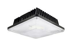 30W LED Canopy Light - Replaces 100 Watt Metal Halide Fixtures - 120-277V AC - IP65 - Ceiling Mount