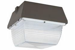 25 Watt LED Canopy Light w/ Emergency Battery Backup - 120-277V AC - IP65 Rated - Failsafe