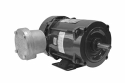 0.75 HP Explosion Proof Motor - Class I, II - 460V 3PH 50/60Hz, 1.4 FLA - 1800 RPM - C Face/Foot Mount