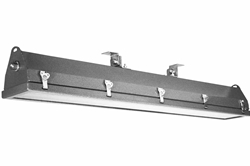 Class I Div 2 Pivoting Light - 4 Foot 2 Lamp - Offshore Fluorescent Rig Light - Meets USCG Specs - Glass Lens