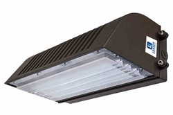 25 Watt Full Cutoff LED Wall Pack - 2750 Lumens - Replaces 100 Watt Metal Halide Fixtures - 24V DC
