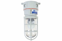 Vaporproof White LED Light - 10 Watts - Non-Metallic - Corrosion Resistant - 1050 Lumens - 125V DC