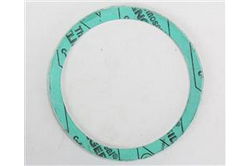 Replacement Gasket for the EPFL-P26W-75