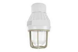 Cast Aluminum Guard for EPSL-80-141 Explosion Proof Strobe Light